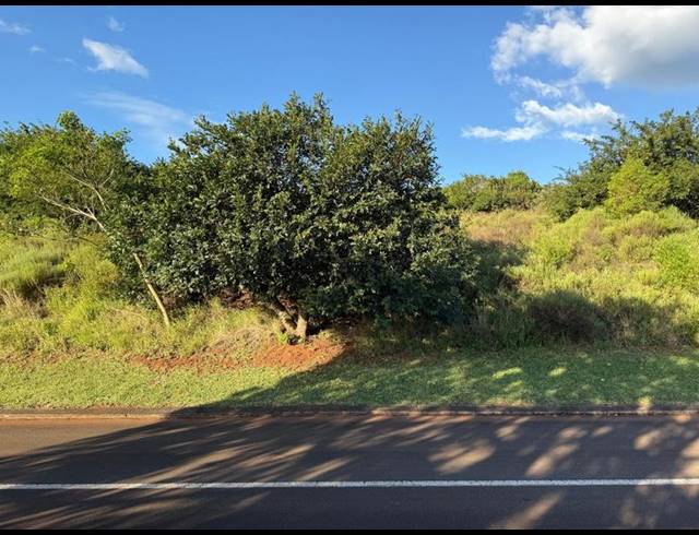 LAND FOR SALE IN ZINI RIVER ESTATE